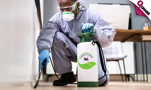 Pest Control: Cockroach & Bedbug Treatment Services!